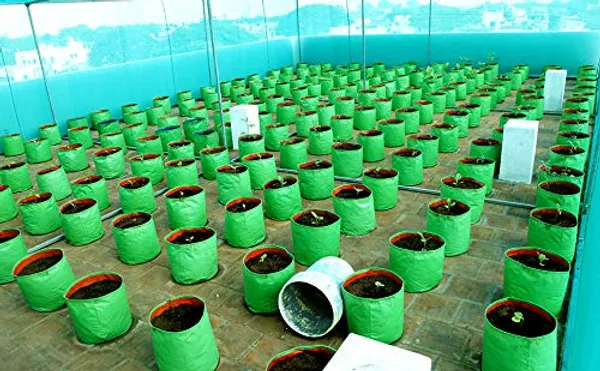 Bioblooms_Agro_India_9X9Inch_Hdpe_Plant_Grow_Bags_For_Terrace_Gardening_Pack_Of_10_Outdoor_Use