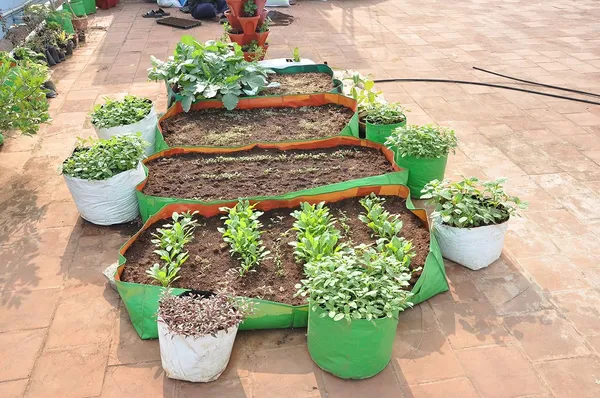 Green_&_Orange_24X12X12_Inch_Hope_Rectangular_Grow_Bags_For_Terrace_Gardening_5_Pieces_Outdoor_Use