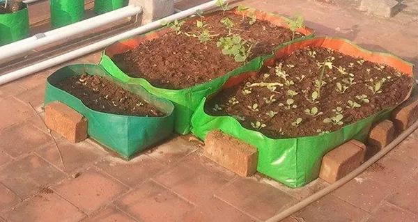 Green_&_Orange_24X12X12_Inch_Hope_Rectangular_Grow_Bags_For_Terrace_Gardening_5_Pieces_Outdoor_Use