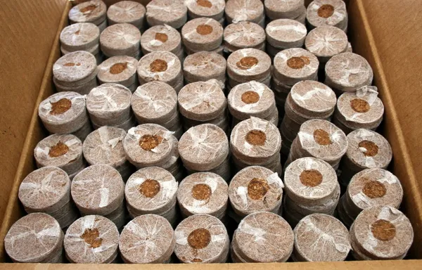 Brown_Coir_Seedling_Coins_Cocopeat_Disc_50_Mm_Plant_Starter_Plugs_60_Pcs