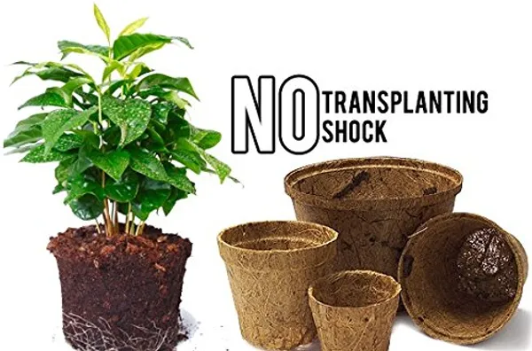 Coir_Ecofriendly_Seed_Germination_Cup_Pots_For_Seedling_Standard_10_Pieces