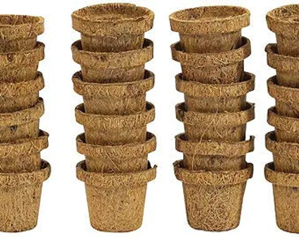 Coir_Ecofriendly_Seed_Germination_Cup_Pots_For_Seedling_Standard_10_Pieces