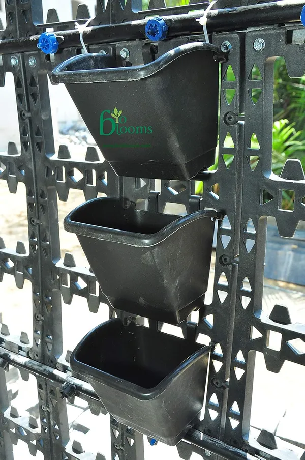 Black_Plastic_Pot_Multicolour_Standard_Set_Of_4