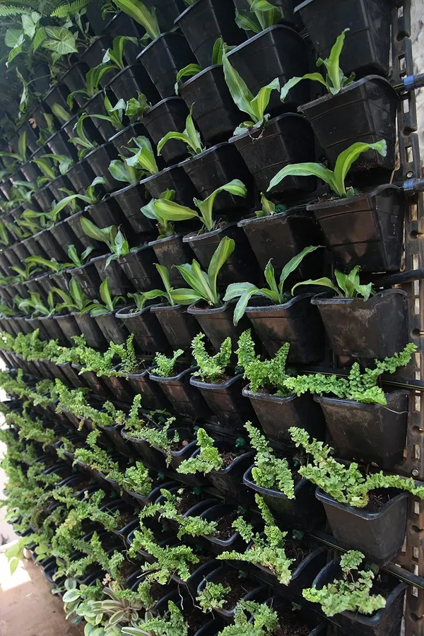 Black_Vertical_Wall_Hanging_Garden_Pots_16_Panel48_Pots_Outdoor_Use_Indoor