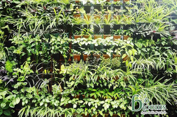 Black_Vertical_Wall_Hanging_Garden_Pots_16_Panel48_Pots_Outdoor_Use_Indoor