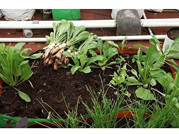 Green_Hdpe_Plant_Grow_Bags_For_Terrace_Gardening_Pack_Of_4_Outdoor_Use
