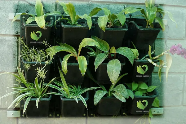 Black_Smart_Garden_Multilayer_Vertical_Gardening_Wall_Garden_Hanging_Planter_Pot_With_Frames_2_Panel_6_Pcs_Pot