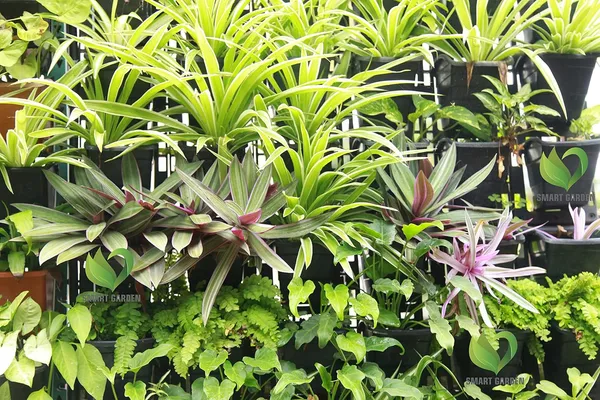 Black_Smart_Garden_Multilayer_Vertical_Gardening_Wall_Garden_Hanging_Planter_Pot_With_Frames_2_Panel_6_Pcs_Pot