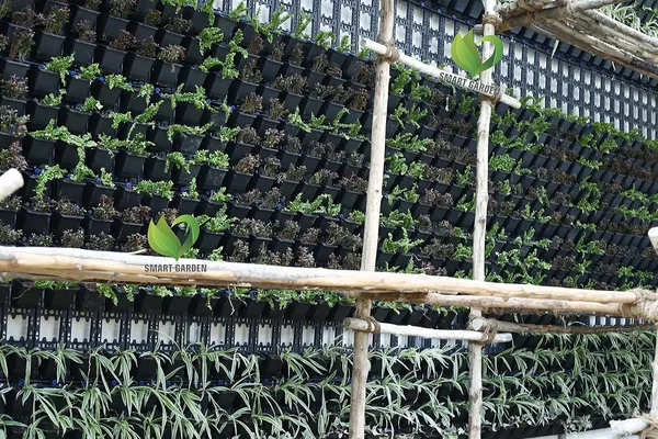 Black_Smart_Garden_Multilayer_Vertical_Gardening_Wall_Garden_Hanging_Planter_Pot_With_Frames_2_Panel_6_Pcs_Pot