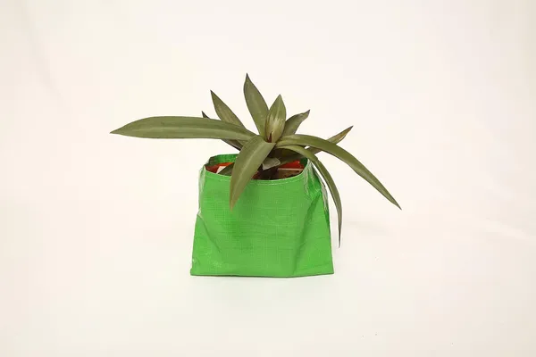 Green_&_Orange_36X36Inch_Hdpe_Plant_Grow_Bags_For_Terrace_Gardening_Pack_Of_10_Outdoor_Use