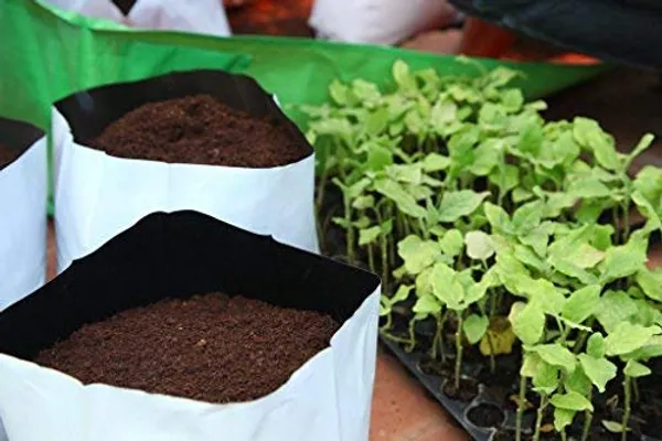 White_Agro_Polybags_Uv_Treated_Poly_Grow_Bags_Perfect_For_Vegetable_And_Flowering_Plants_Outdoor_Use_Grow_Bags_16X16X30_Pack_Of_10