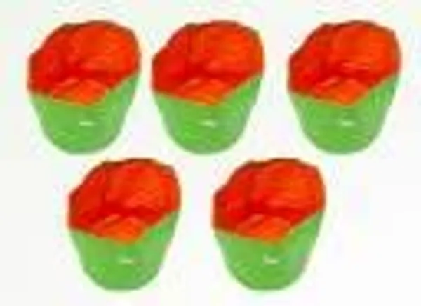 Green_&_Orange_Outdoor_Terrace_Gardening_Grow_Bag_24_X_24_Inch_Pack_Of_5_Grow_Bag