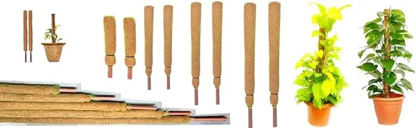 Brown_Coco_Pole_Coir_Moss_Stick_Plant_Creepers_Support_3_Feet_4_Pieces_Indoor_And_Outdoor_Uses