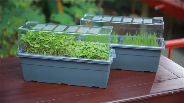 Micro_Sprouting_Kit_With_Lid_1_Pc