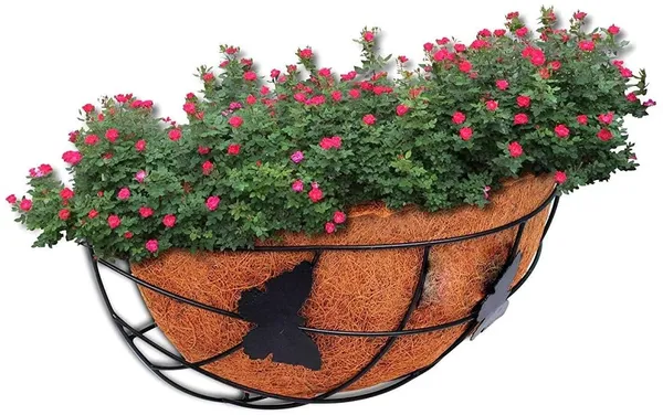 Coir_Basket_Wall_Hanger_12_Inch_Half_Liner_With_Butterfly_Basket_2_Pieces