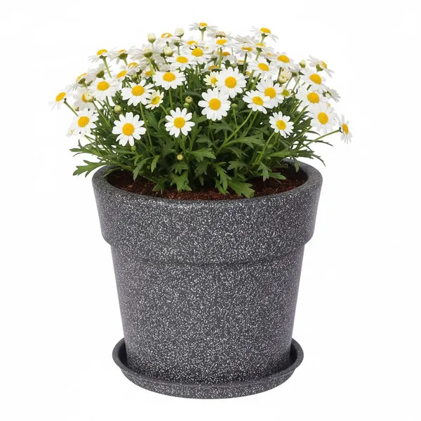 Grey_Maxi_Planter_Roto_Mould_Speckled_Garden_Planter_Pot_With_Drainage_Saucer_Round_Tape_Design_Indoor_Outdoor_Use_Pack_Of_1_10_Inch