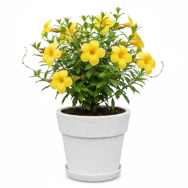 White_Maxi_Planter_Roto_Mould_Speckled_Garden_Planter_Pot_With_Drainage_Saucer_Round_Tape_Design_Indoor_Outdoor_Use_Pack_Of_1_10_Inch