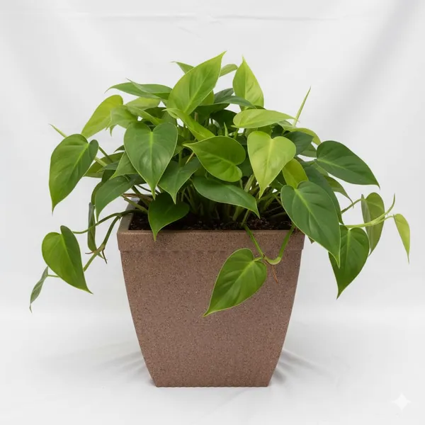 Brown_Paris_Square_Planter_Roto_Mould_Modern_Square_Garden_Planter_Durable_Resin_Material_Tape_Design_Indoor_Outdoor_Decorative_Plant_Container_Sandstone_14_Inch