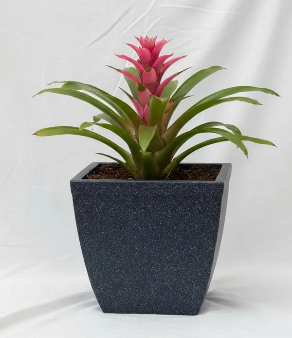 Black_Paris_Square_Planter_Roto_Mould_Modern_Square_Garden_Planter_Durable_Resin_Material_Tape_Design_Indoor_Outdoor_Decorative_Plant_Container_14_Inch