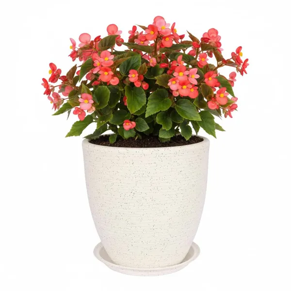 White_Houston_Planter_Roto_Mould_Text_Planter_With_Drainage_Tray_Speckled_Pattern_Modern_Tape_Design_Indoor_Outdoor_Garden_Use_14.5_Inch