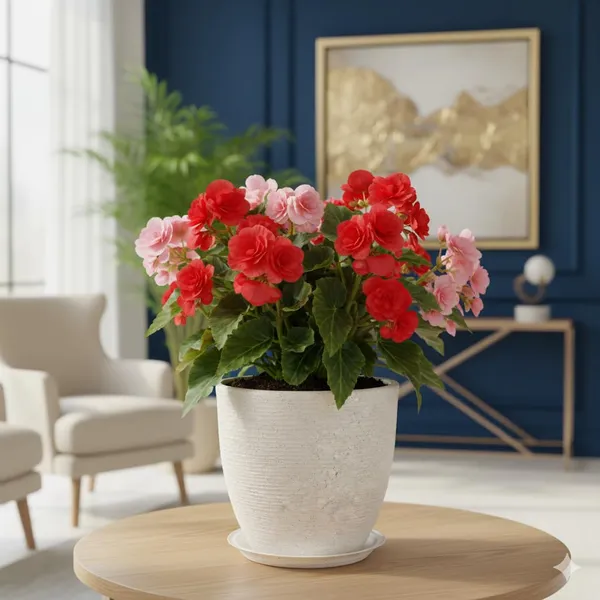 White_Houston_Planter_Roto_Mould_Text_Planter_With_Drainage_Tray_Speckled_Pattern_Modern_Tape_Design_Indoor_Outdoor_Garden_Use_14.5_Inch