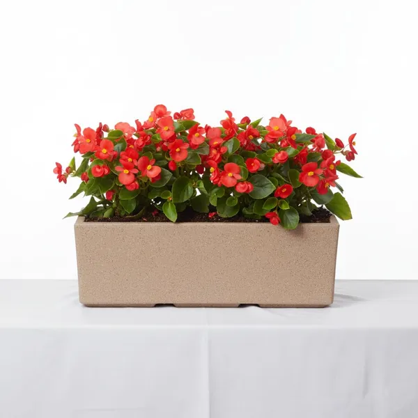 Brown_Sweden_Planter_Roto_Mould_Decorative_Rectangular_Planter_Speckled_Stone_Effect_Outdoor_Indoor_Garden_Container_Sandstone_24_Inch