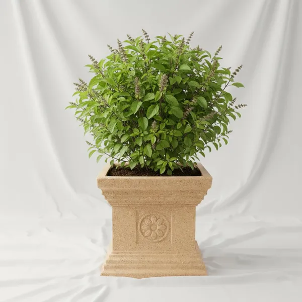 Black_Tulasi_Planter_Roto_Mould_Decorative_Square_Pedestal_Garden_Planter_Speckled_Text_Outdoor_Indoor_Use_Classical_Roman_Column_Design_Sandstone_09_Inch