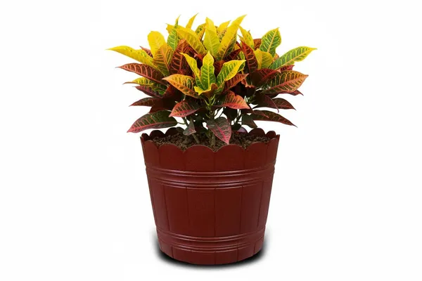 Brown_Plastic_Loto_Pot_Decorative_Plastic_Flower_Pot_With_Scalloped_Edge_Design_Round_Planter_For_Indoor_And_Outdoor_Garden_Use_Pack_Of_2_10_Inch