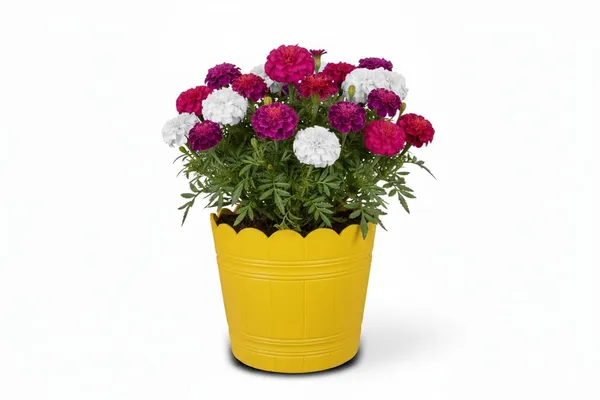 Yellow_Plastic_Loto_Pot_Decorative_Plastic_Flower_Pot_With_Scalloped_Edge_Design_Round_Planter_For_Indoor_And_Outdoor_Garden_Use_Pack_Of_2_14_Inch