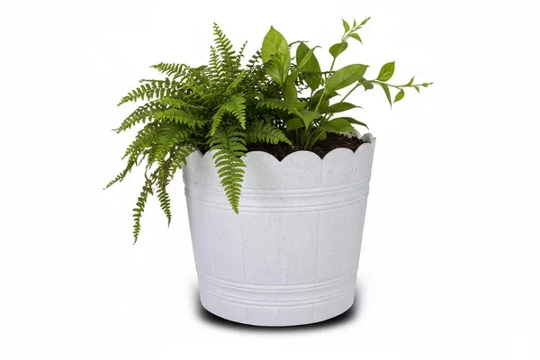 White_Plastic_Loto_Pot_Decorative_Plastic_Flower_Pot_With_Scalloped_Edge_Design_Round_Planter_For_Indoor_And_Outdoor_Garden_Use_Pack_Of_2_10_Inch