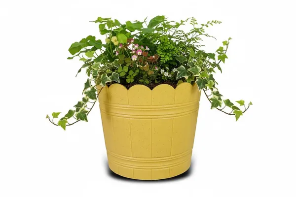 Beige_Plastic_Loto_Pot_Decorative_Plastic_Flower_Pot_With_Scalloped_Edge_Design_Round_Planter_For_Indoor_And_Outdoor_Garden_Use_Pack_Of_2_Biege_10_Inch