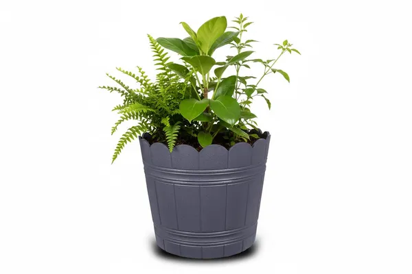 Dark_Grey_Plastic_Loto_Pot_Decorative_Plastic_Flower_Pot_With_Scalloped_Edge_Design_Round_Planter_For_Indoor_And_Outdoor_Garden_Use_Pack_Of_2_14_Inch