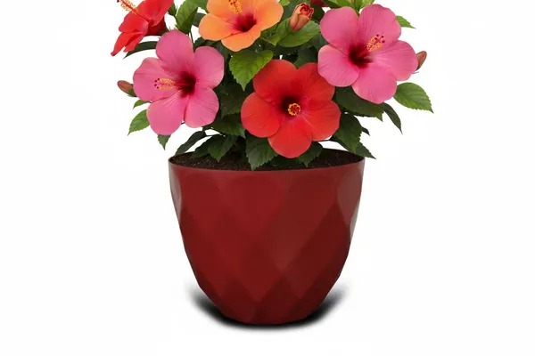 Maroon_Sapphire_Pot_Modern_Geometric_Decorative_Planter_Pot_Diamond_Pattern_Design_Plastic_Indoor_Outdoor_Plant_Container_Pack_Of_2_13_Inch