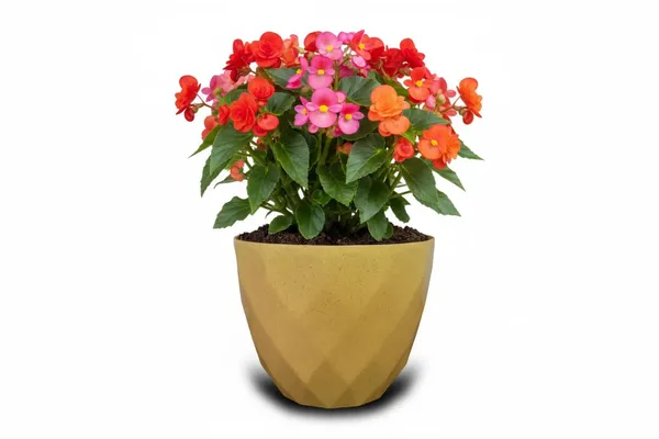 Yellow_Sapphire_Pot_Modern_Geometric_Decorative_Planter_Pot_Diamond_Pattern_Design_Plastic_Indoor_Outdoor_Plant_Container_Pack_Of_2_Biege_13_Inch