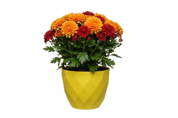 Yellow_Sapphire_Pot_Modern_Geometric_Decorative_Planter_Pot_Diamond_Pattern_Design_Plastic_Indoor_Outdoor_Plant_Container_Pack_Of_2_13_Inch