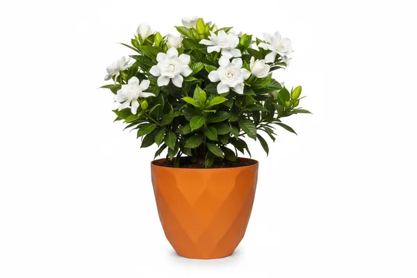 Orange_Sapphire_Pot_Modern_Geometric_Decorative_Planter_Pot_Diamond_Pattern_Design_Plastic_Indoor_Outdoor_Plant_Container_Pack_Of_2_13_Inch