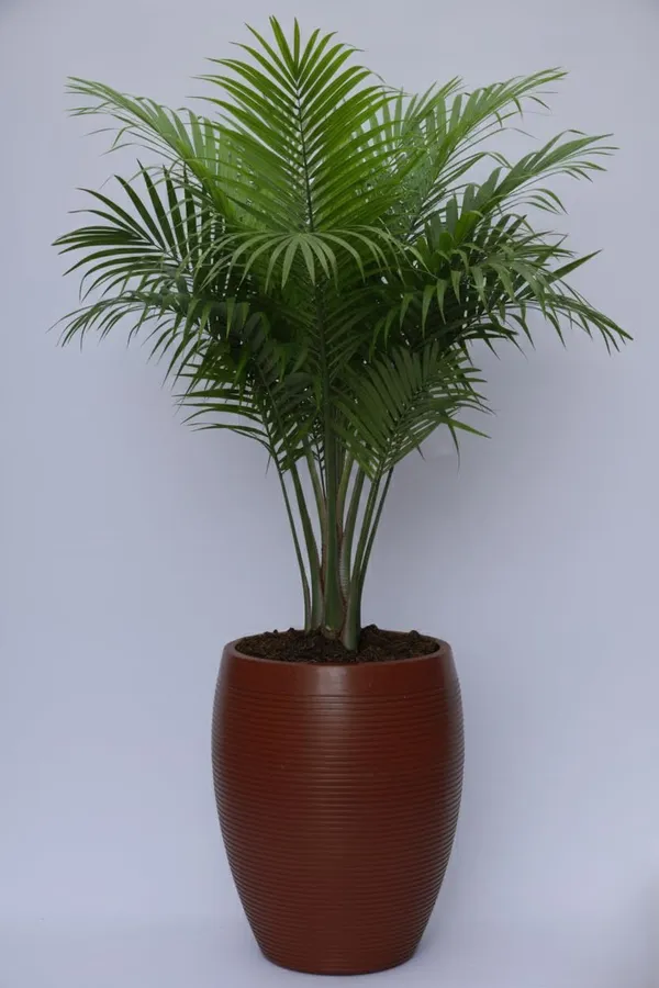 Antique_Bronze_Vetro_Vase_Roto_Mould_Decorative_Plastic_Planter_Pots_Ribbed_Design_Round_Indoor_Outdoor_Garden_Use_Pack_Of_1_Antique_Bronze_25_Inch