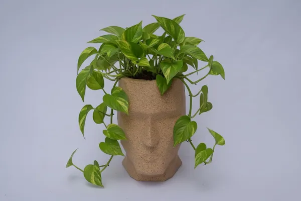 Beige_Facelift_Pot_Modern_Geometric_Roto_Mould_Planter_Pot_Faceted_Design_Decorative_Indoor_Outdoor_Use_Biege_15_Inch