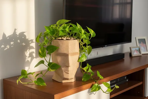 Beige_Facelift_Pot_Modern_Geometric_Roto_Mould_Planter_Pot_Faceted_Design_Decorative_Indoor_Outdoor_Use_Biege_15_Inch