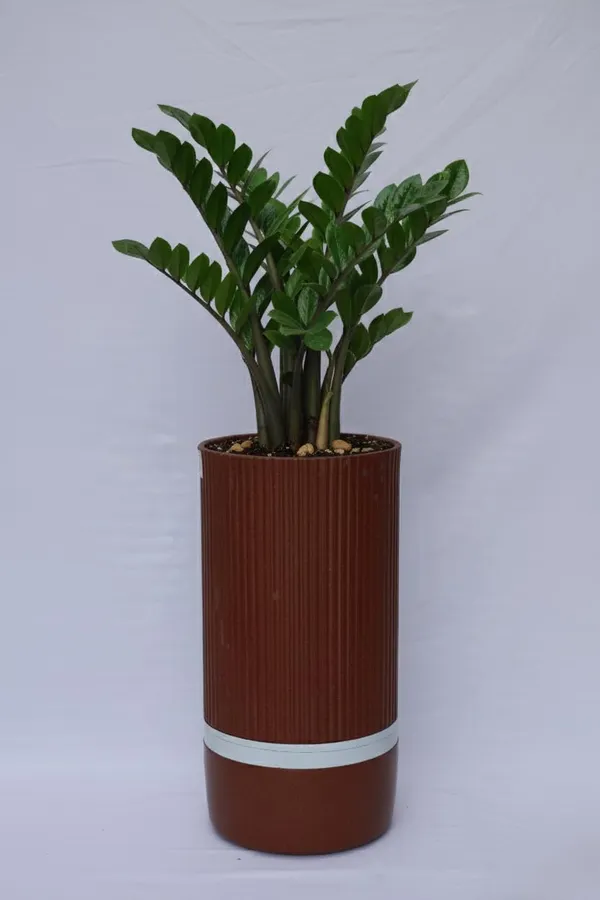 Antique_Bronze_I_Aura_Roto_Mould_Planter_Pots_Durable_Plastic_Round_Indoor_Outdoor_Garden_Use_Antique_Bronze_15_Inch