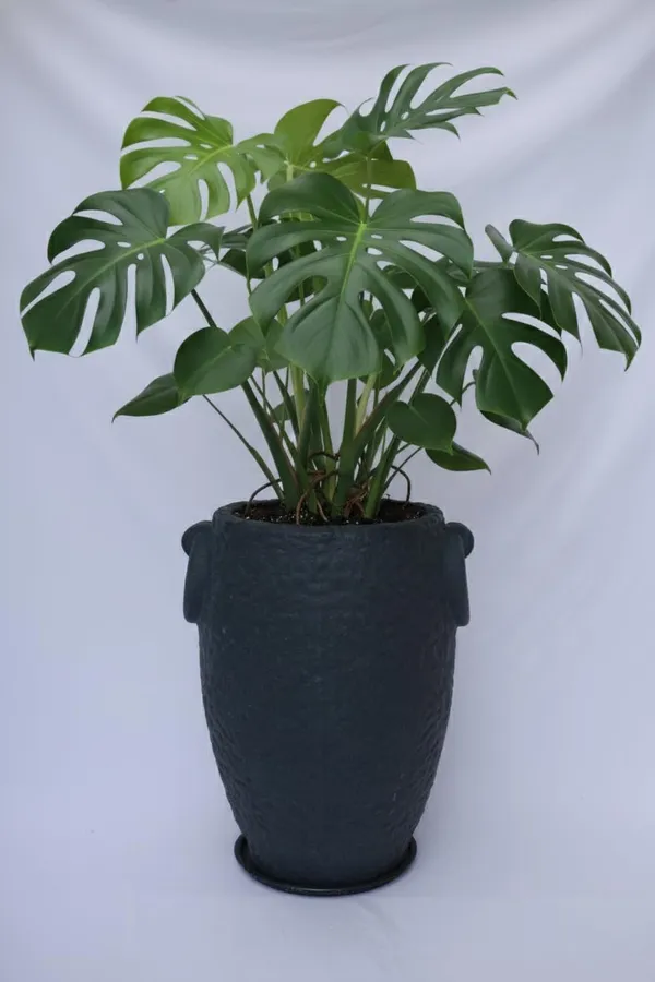 Black_Prachin_Stambh_Rotomolded_Garden_Planter_Pot_Text_Finish_Outdoor_Indoor_Use_24_Inch