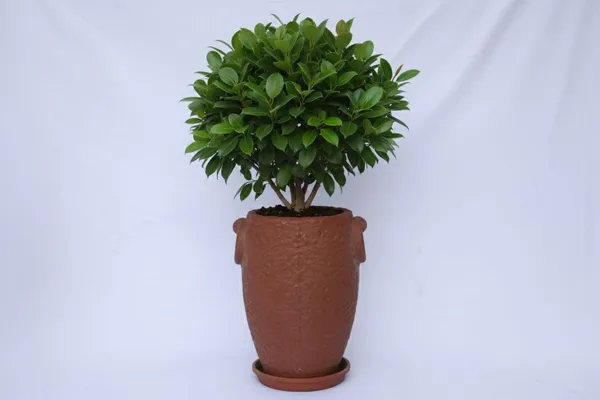 Antique_Bronze_Prachin_Stambh_Rotomolded_Garden_Planter_Pot_Text_Finish_Outdoor_Indoor_Use_Antique_Bronze_24_Inch
