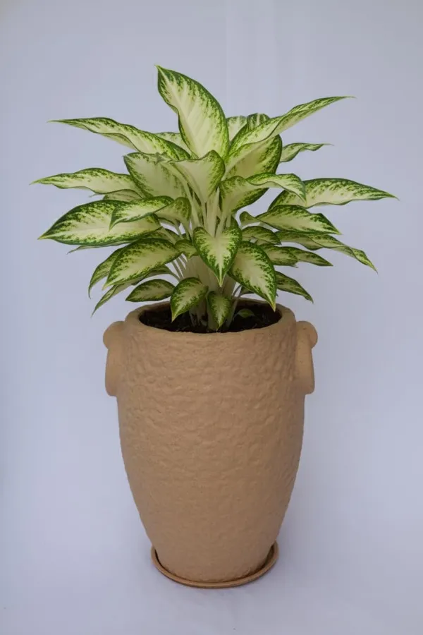 Beige_Prachin_Stambh_Rotomolded_Garden_Planter_Pot_Text_Finish_Outdoor_Indoor_Use_Biege_24_Inch