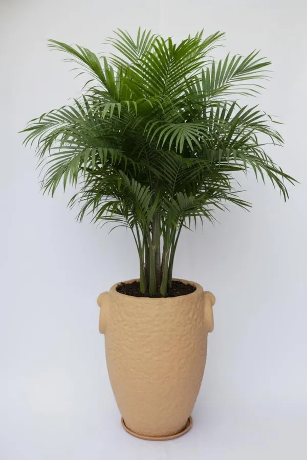 Beige_Prachin_Stambh_Rotomolded_Garden_Planter_Pot_Text_Finish_Outdoor_Indoor_Use_Biege_24_Inch
