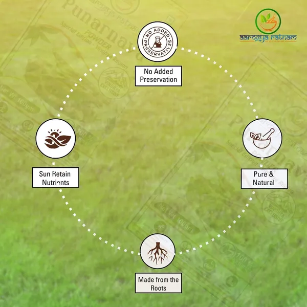 Punarnava_Powder_|_Natural_Herbal_Supplement_from_Vindhya_Region_|_Supports_Kidney_&_Liver_Health_|_Boosts_Metabolism,_Strength_&_Stamina_|_100%_Pure_Ayurvedic_Churna_(Pack_of_2,_100g)