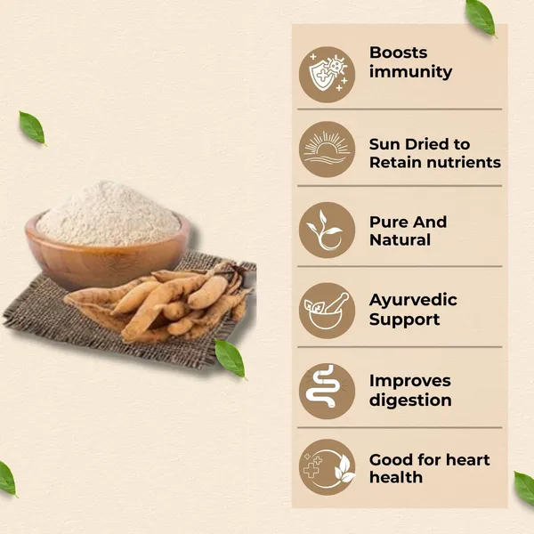 100%_Natural_Shatavari_Powder_|_Ayurvedic_Women’s_Wellness_Supplement_|_Supports_Immunity,_Hormonal_Balance_&_Reproductive_Health_(Pack_of_2,_100g)
