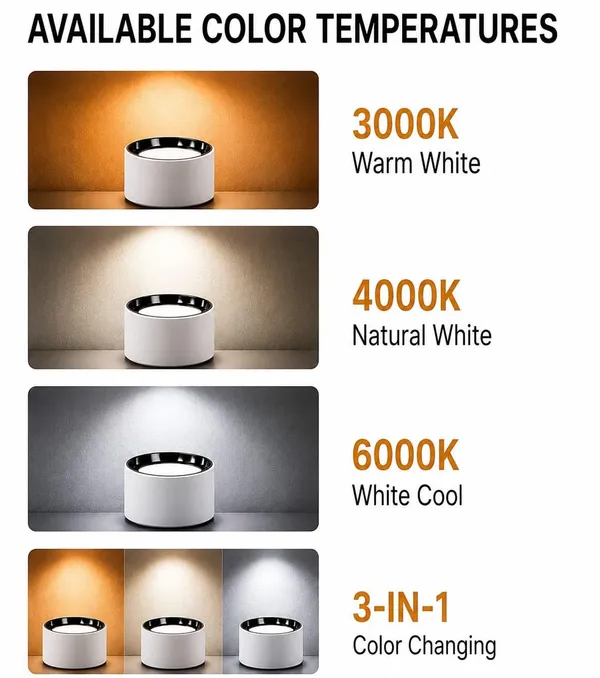 Altra_Vora_18w_Premium_Rimless_Led_Surface_Light_6k_Cool_White