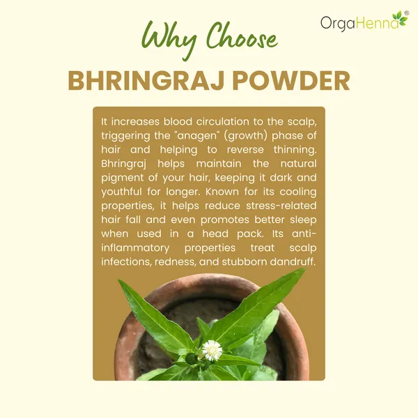 100%_Natural_Bhringraj_Powder_Hair_Pack_For_Unisex