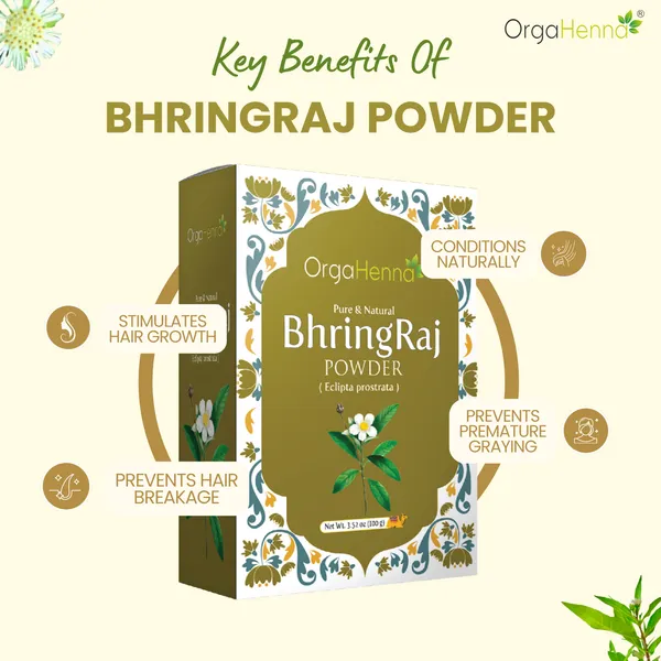 100%_Natural_Bhringraj_Powder_Hair_Pack_For_Unisex