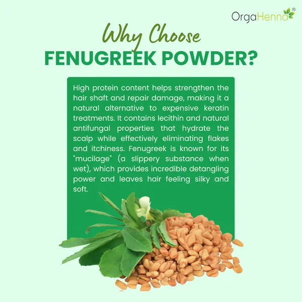 100%_Natural_FenuGreek_Powder_Hair_Pack_For_Unisex